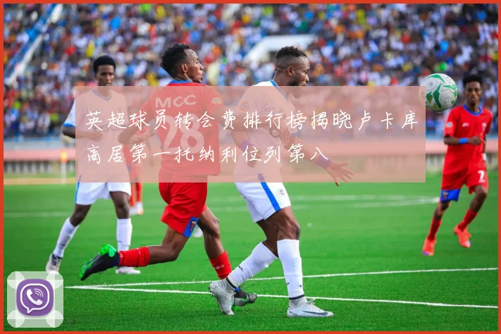 英超球员转会费排行榜揭晓卢卡库高居第一托纳利位列第八