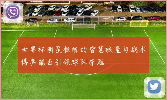 世界杯明星教练的智慧较量与战术博弈能否引领球队夺冠