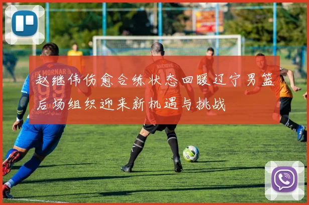 赵继伟伤愈合练状态回暖辽宁男篮后场组织迎来新机遇与挑战